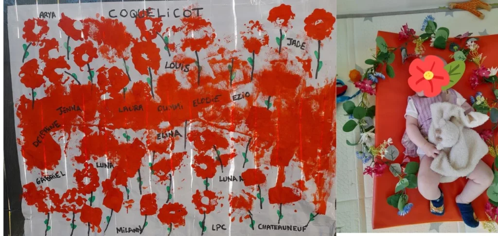 mardi, le coquelicot à LPC châteauneuf (1)